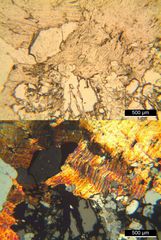 Polarisationsmikroskopie: Greisen aus Zinnwald/Sachsen