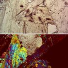Polarisationsmikroskopie: Greisen von Zinnwald