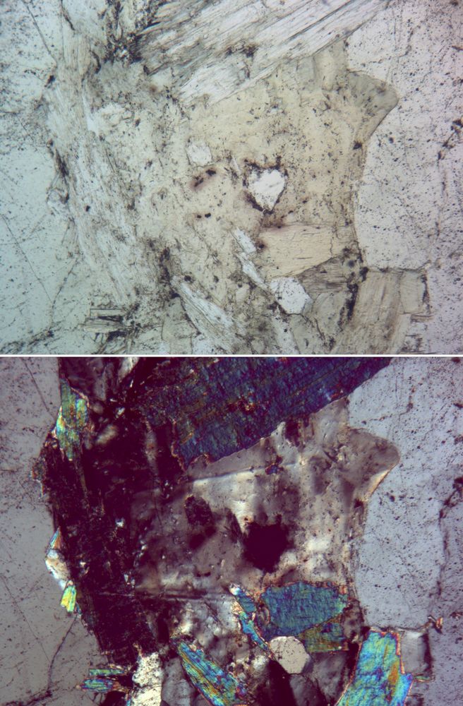 Polarisationsmikroskopie: Greisen von Zinnwald