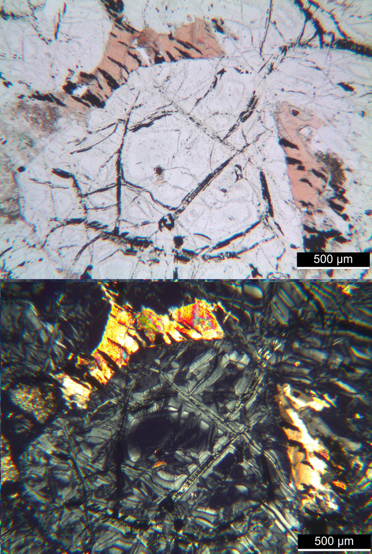 Polarisationsmikroskopie: Harzburgit aus dem Harz