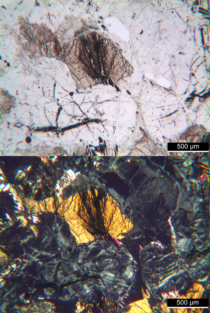 Polarisationsmikroskopie: Harzburgit aus dem Harz