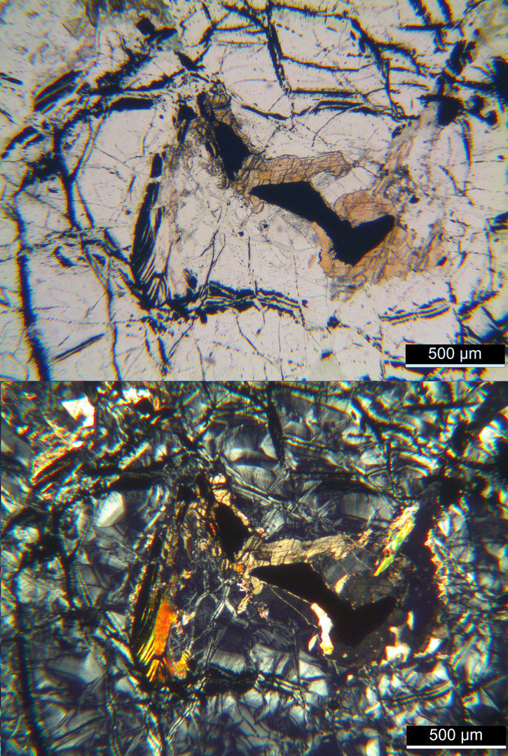 Polarisationsmikroskopie: Harzburgit aus dem Harz