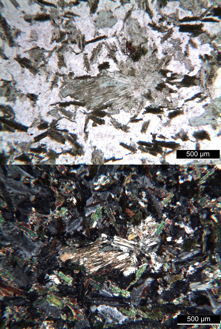 Polarisationsmikroskopie: Kersantit aus dem Spessart