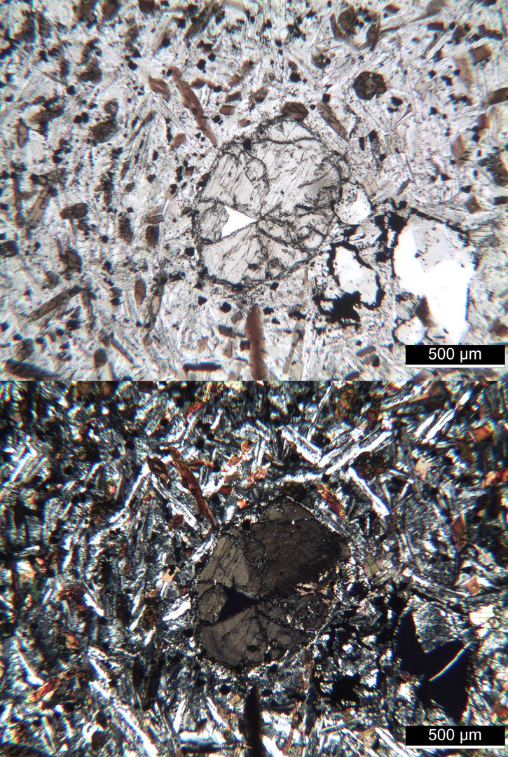 Polarisationsmikroskopie: Kersantit aus dem Spessart