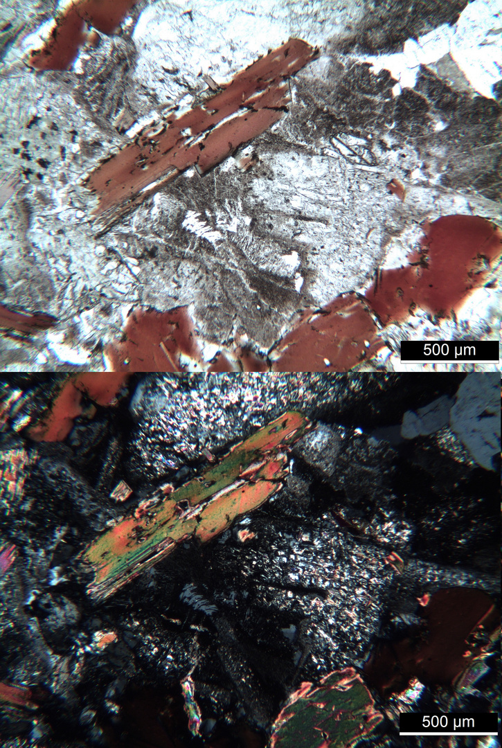 Polarisationsmikroskopie: Kersantit aus der Bretagne