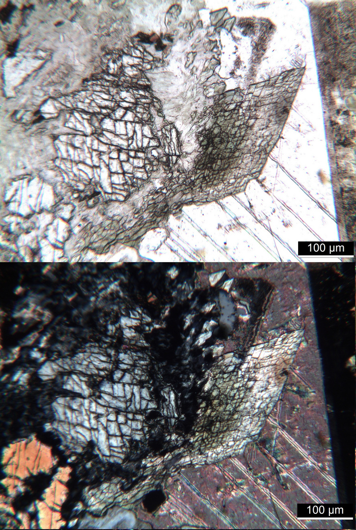 Polarisationsmikroskopie: Kersantit aus der Bretagne