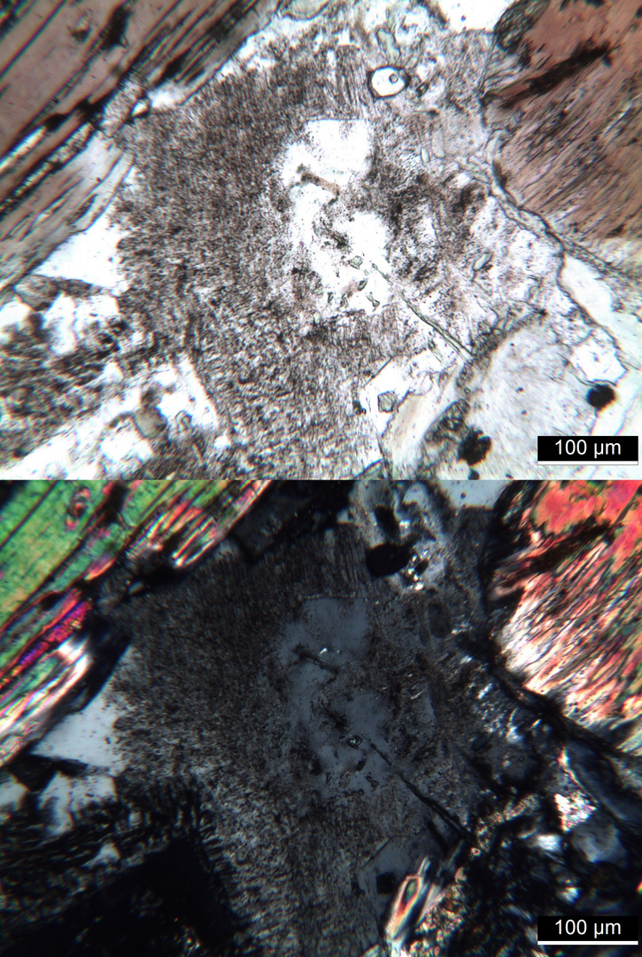 Polarisationsmikroskopie: Kersantit aus der Bretagne