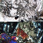 Polarisationsmikroskopie: Kersantit aus Hessen