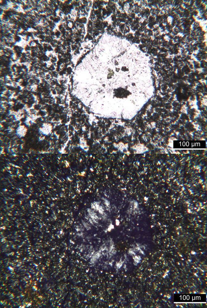 Polarisationsmikroskopie: Leucit-Tinguait von Magnet Cove, Arkansas, USA