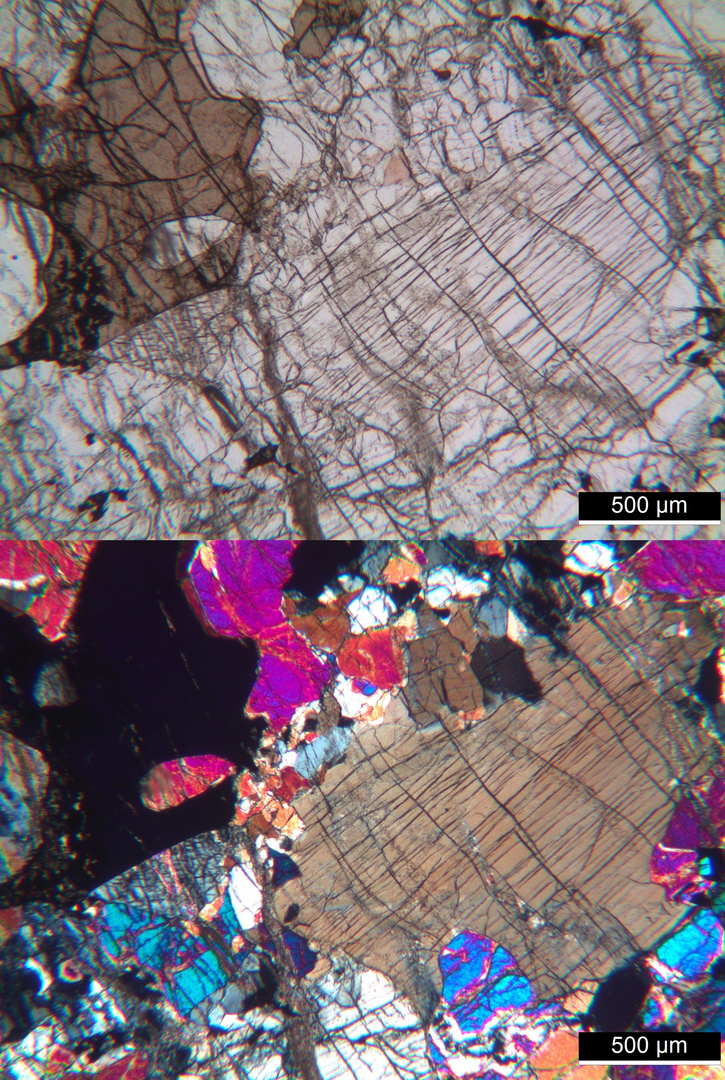 Polarisationsmikroskopie: Lherzolith aus der Hte. Garonne, Frankreich