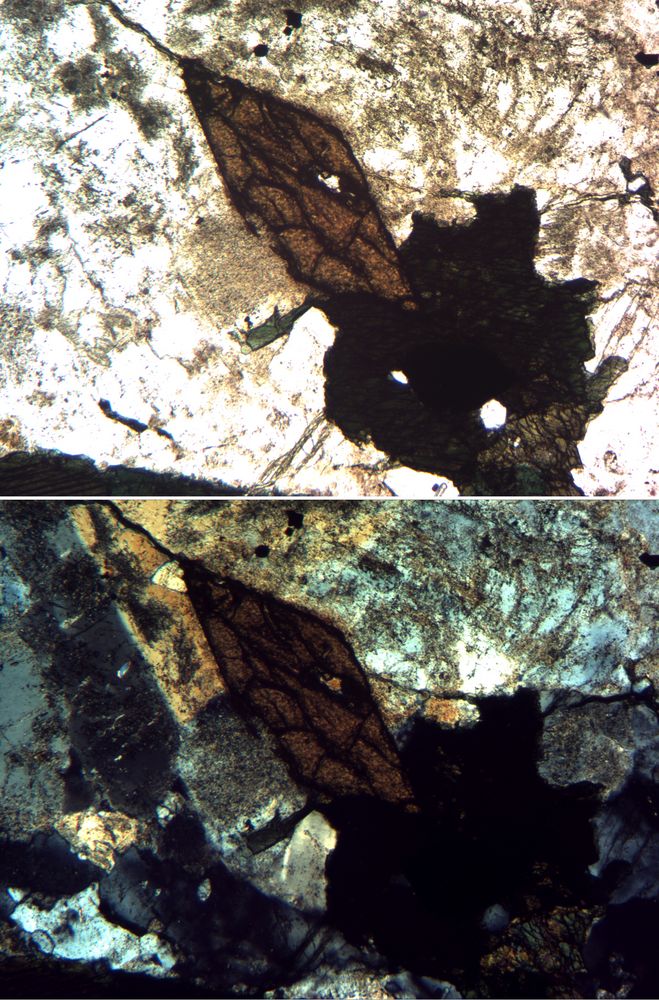 Polarisationsmikroskopie: Makrokristalline Struktur in Syenit