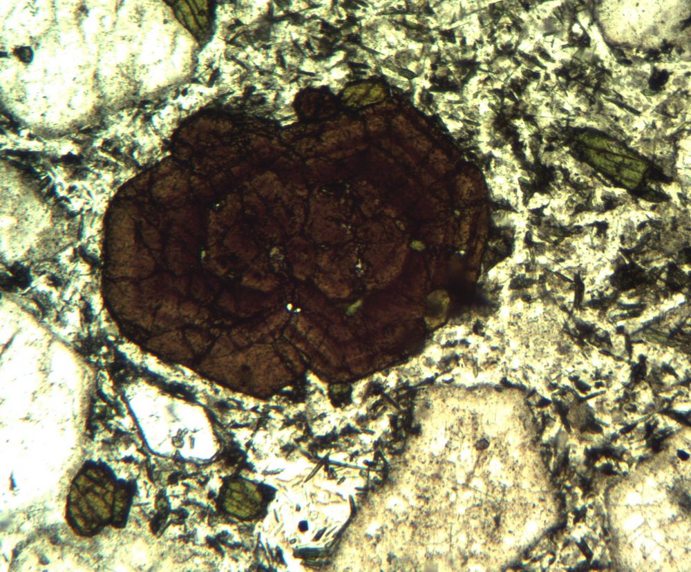 Polarisationsmikroskopie: Melanit in Phonolith vom Horberig