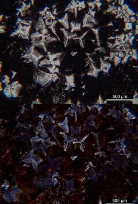 Polarisationsmikroskopie: Melilith mit Pflockstruktur