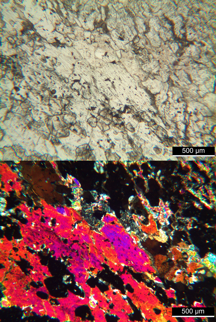 Polarisationsmikroskopie: Meta-Gabbro aus dem Wallis