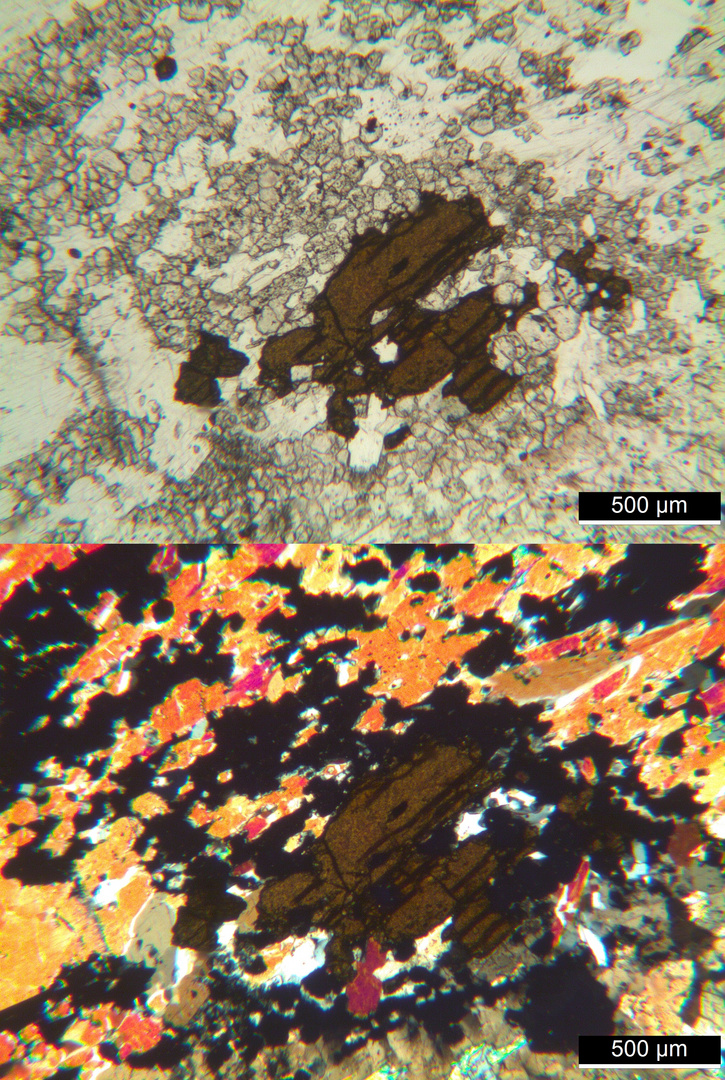 Polarisationsmikroskopie: Meta-Gabbro aus dem Wallis