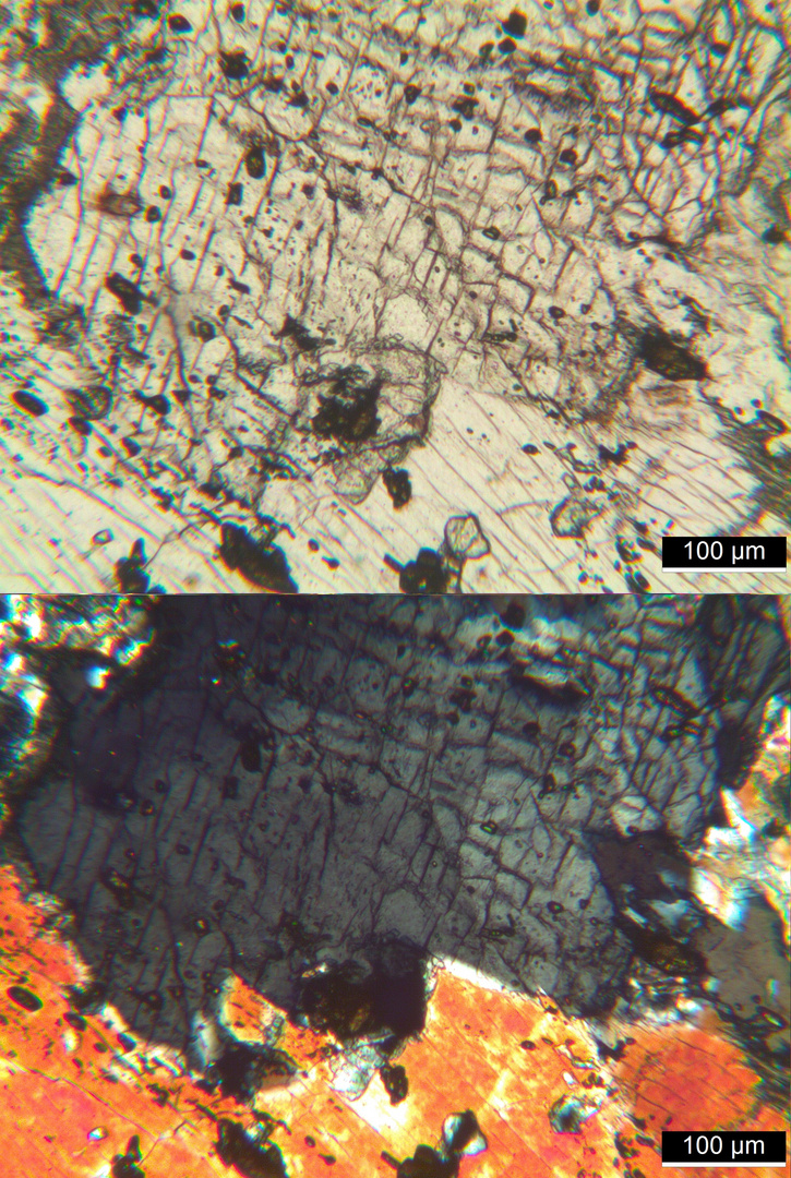 Polarisationsmikroskopie: Meta-Gabbro aus dem Wallis