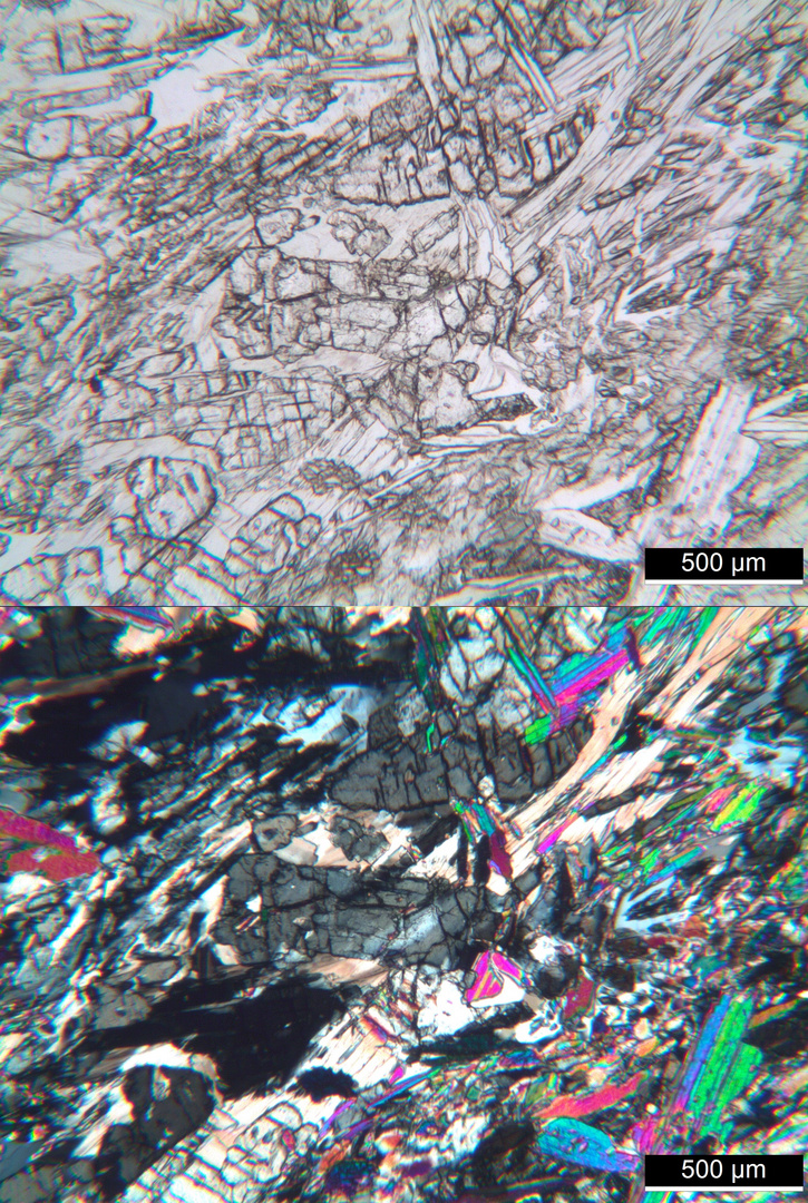 Polarisationsmikroskopie: Meta-Gabbro aus dem Wallis