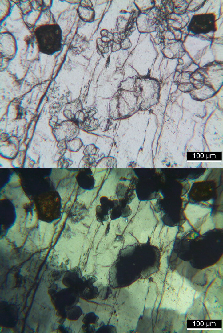 Polarisationsmikroskopie: Meta-Gabbro aus dem Wallis