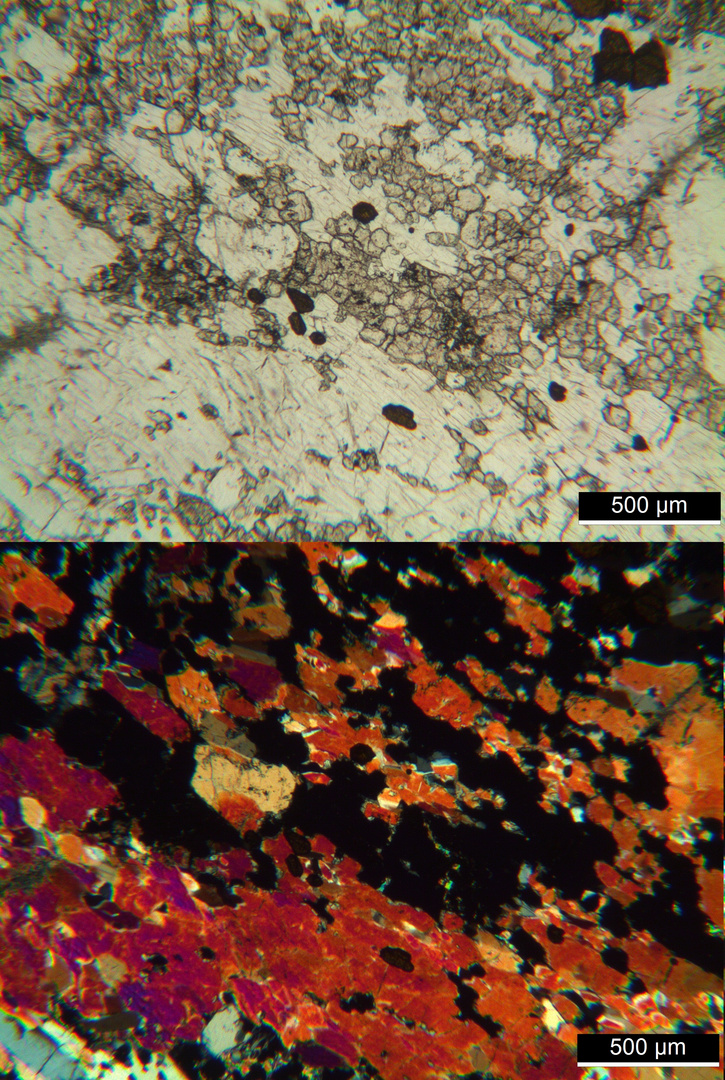 Polarisationsmikroskopie: Meta-Gabbro aus dem Wallis