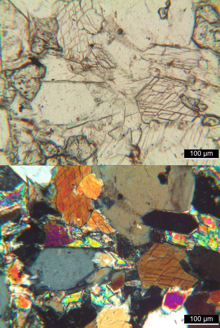 Polarisationsmikroskopie: Meta-Gabbro aus dem Wallis