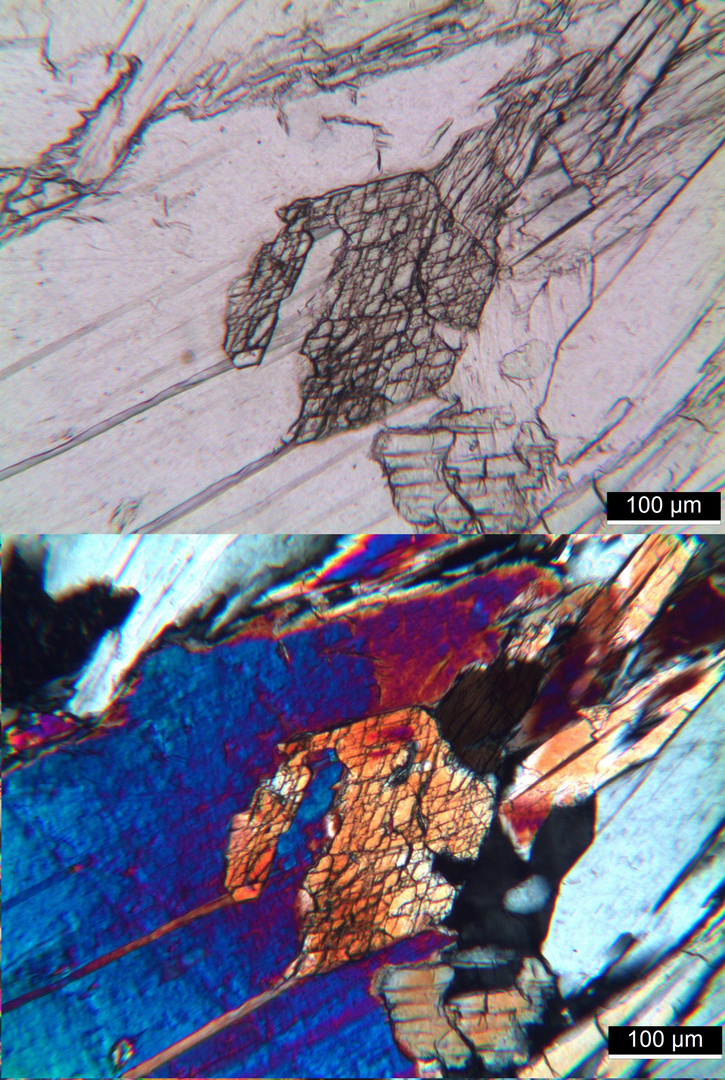 Polarisationsmikroskopie: Meta-Gabbro aus dem Wallis