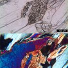 Polarisationsmikroskopie: Meta-Gabbro aus dem Wallis