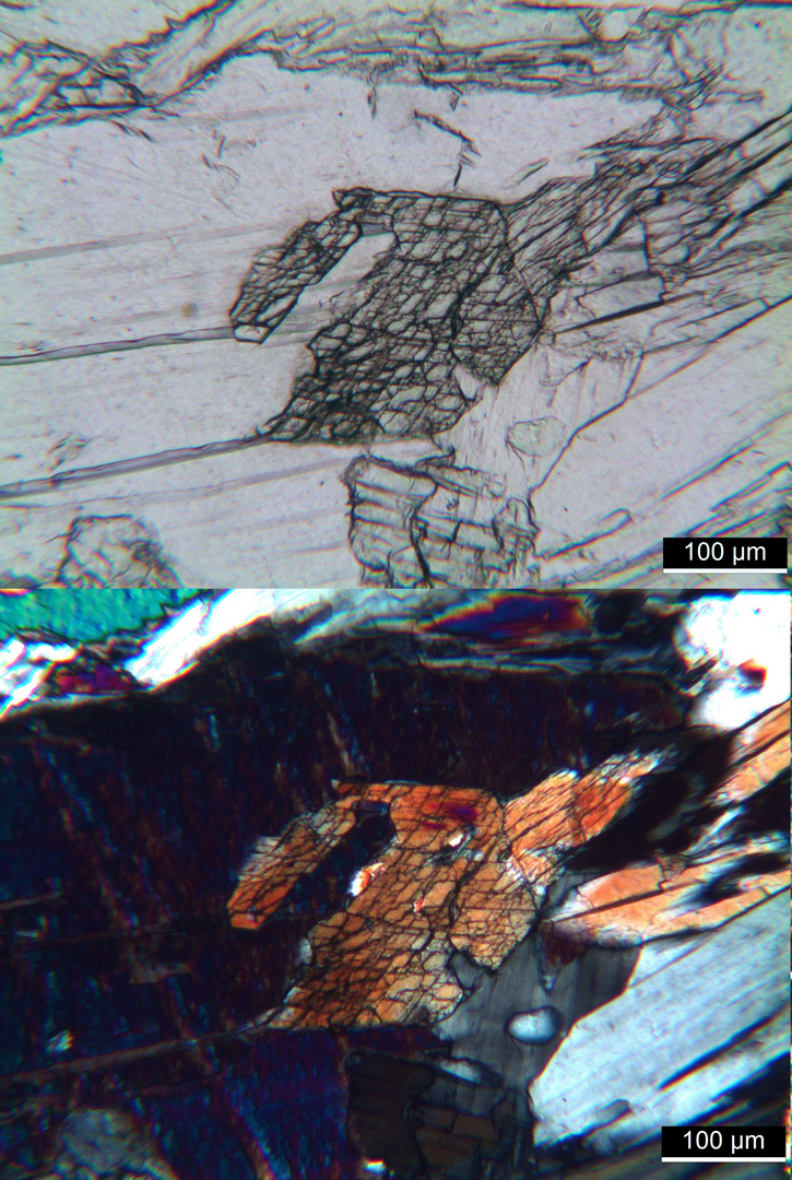 Polarisationsmikroskopie: Meta-Gabbro aus dem Wallis