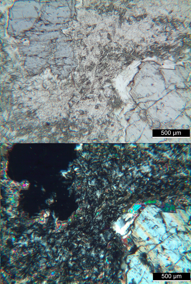 Polarisationsmikroskopie: Meta-Olivingabbro aus dem Wallis