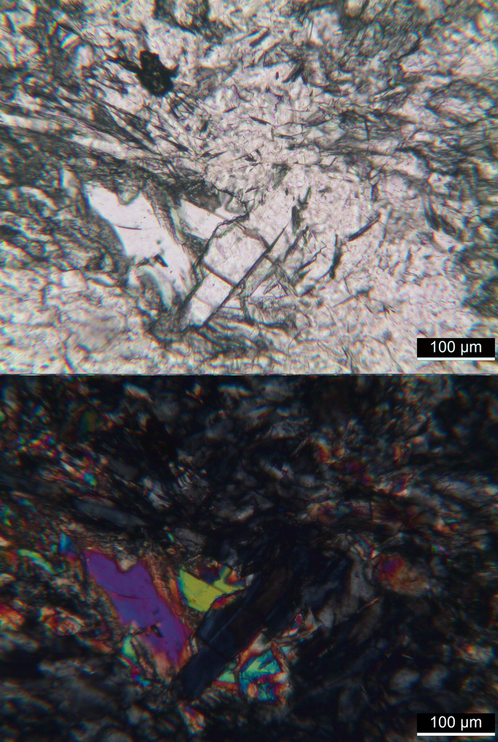 Polarisationsmikroskopie: Meta-Olivingabbro aus dem Wallis