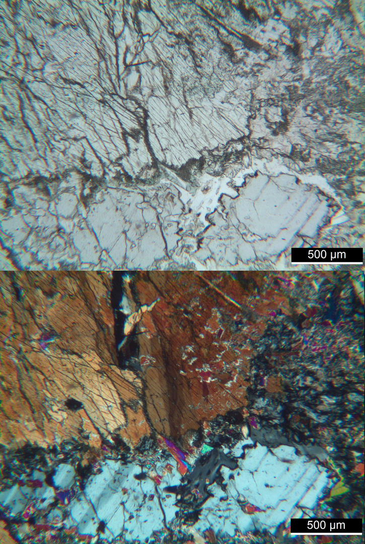 Polarisationsmikroskopie: Meta-Olivingabbro aus dem Wallis