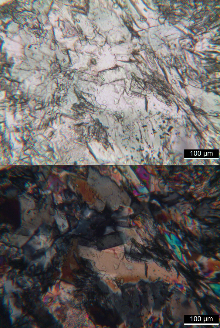 Polarisationsmikroskopie: Meta-Olivingabbro aus dem Wallis