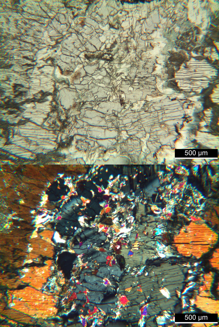 Polarisationsmikroskopie: Meta-Olivingabbro aus dem Wallis