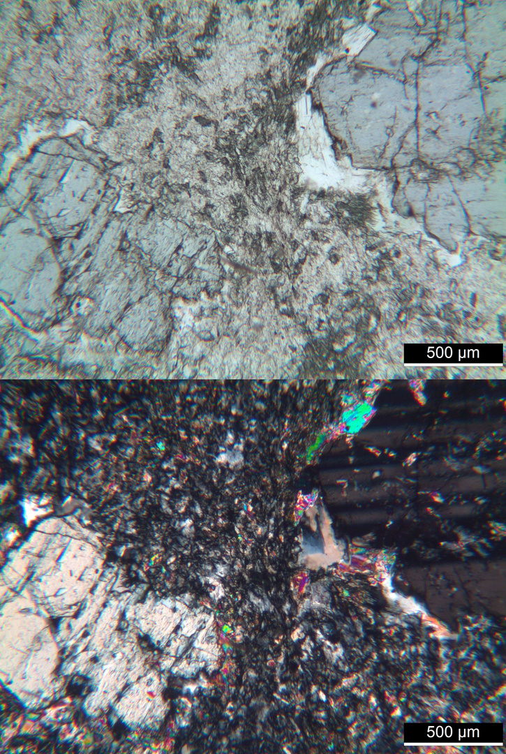 Polarisationsmikroskopie: Meta-Olivingabbro aus dem Wallis