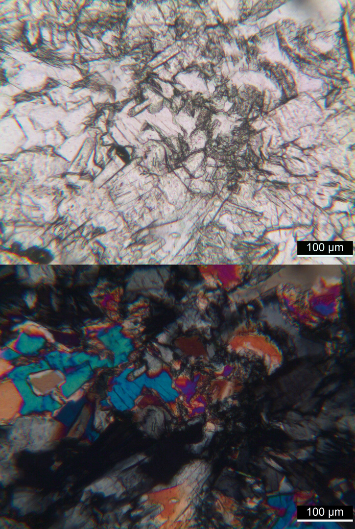 Polarisationsmikroskopie: Meta-Olivingabbro aus dem Wallis