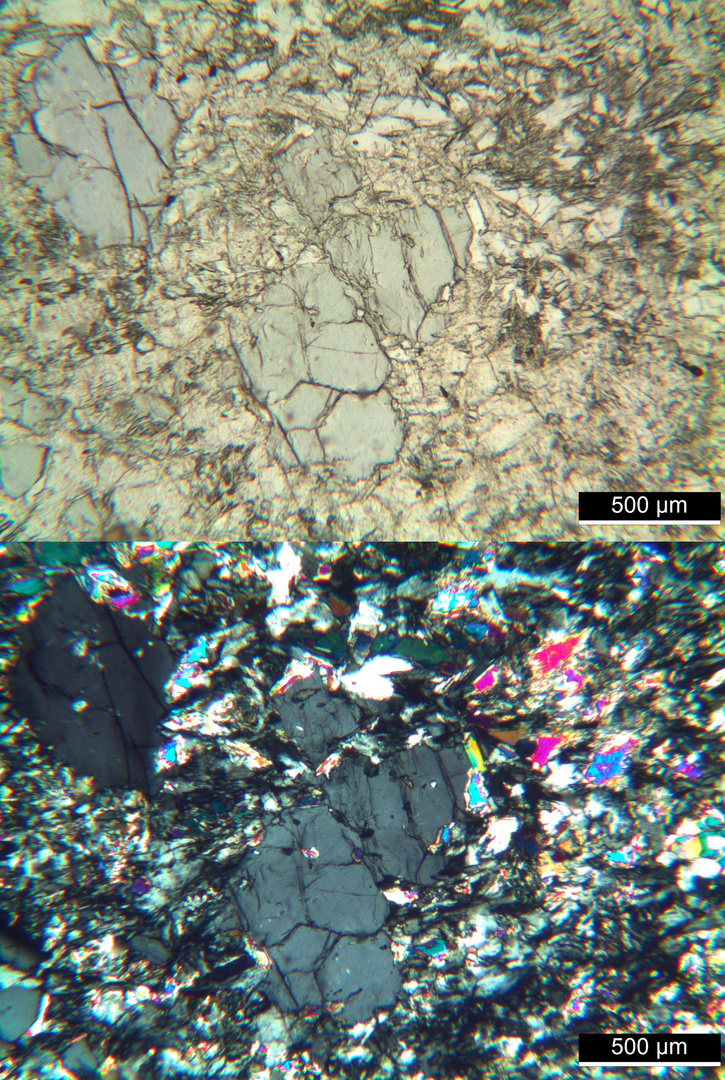 Polarisationsmikroskopie: Meta-Olivingabbro aus dem Wallis