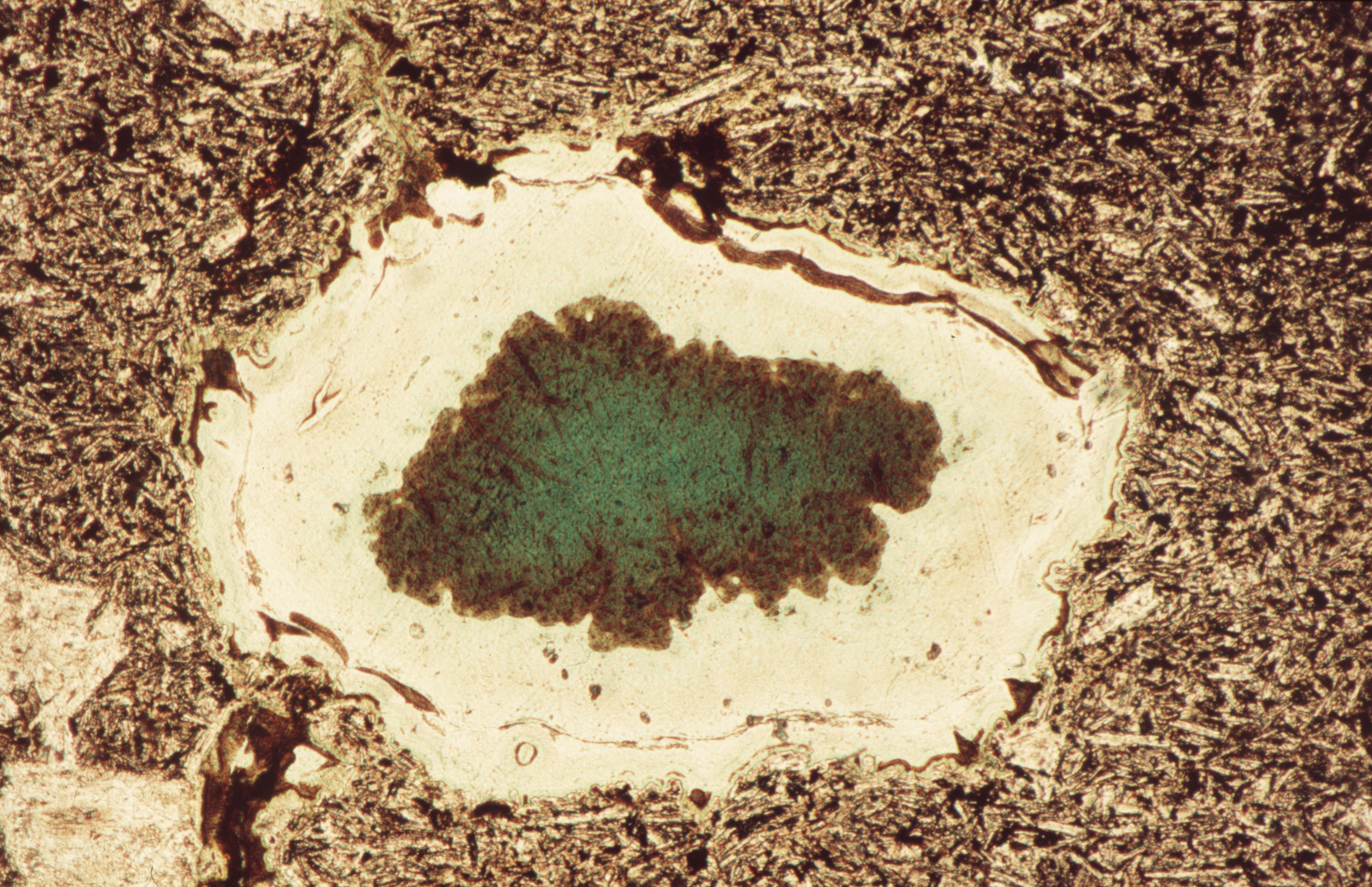 Polarisationsmikroskopie: Mineralische Einschlüsse in Laven