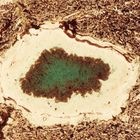 Polarisationsmikroskopie: Mineralische Einschlüsse in Laven