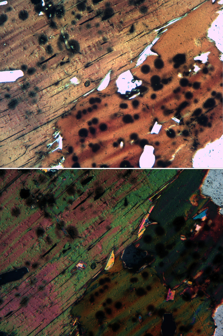 Polarisationsmikroskopie: Monazit in Biotit