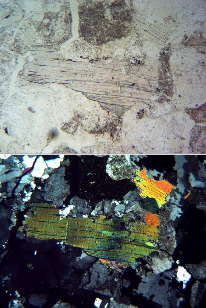 Polarisationsmikroskopie: Muskovit in Granit