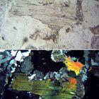 Polarisationsmikroskopie: Muskovit in Granit