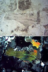 Polarisationsmikroskopie: Muskovit in Granit