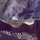 Polarisationsmikroskopie: Myrmekitische Verwachsung in Granit