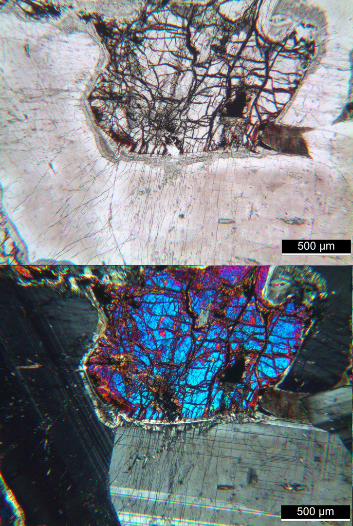 Polarisationsmikroskopie: Olivin-Gabbro aus dem Odenwald