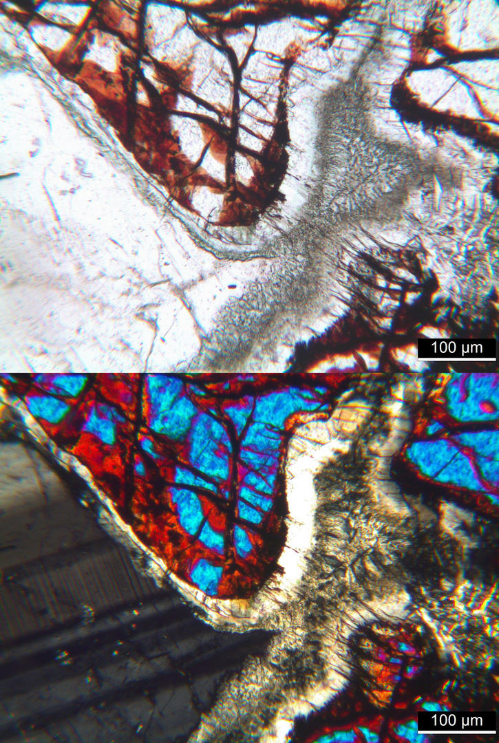 Polarisationsmikroskopie: Olivin-Gabbro aus dem Odenwald