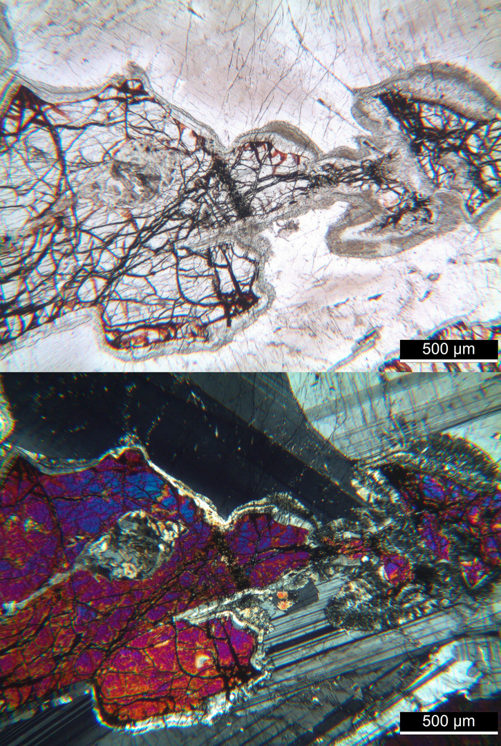 Polarisationsmikroskopie: Olivin-Gabbro aus dem Odenwald