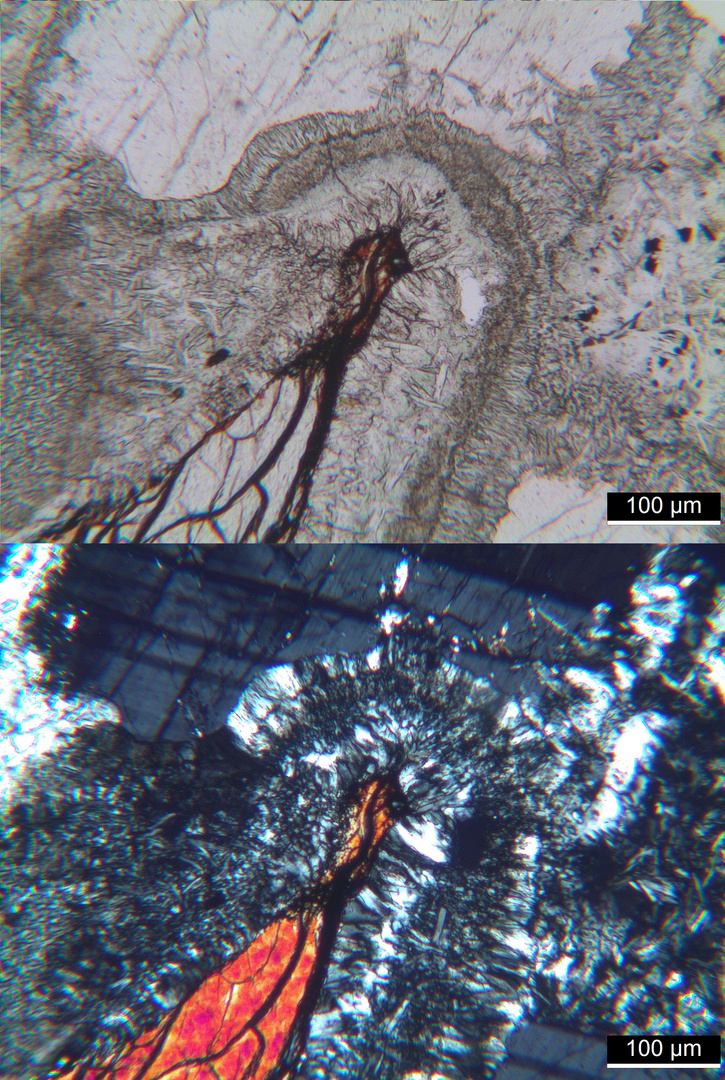 Polarisationsmikroskopie: Olivin-Gabbro aus dem Odenwald