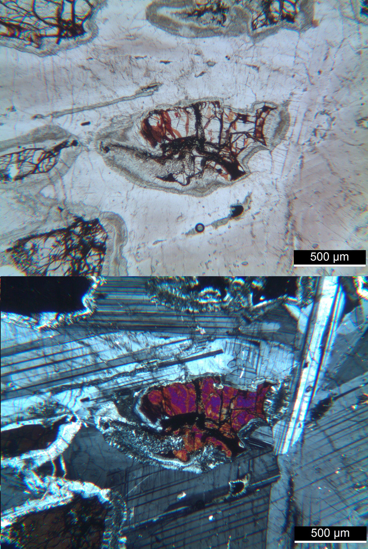 Polarisationsmikroskopie: Olivin-Gabbro aus dem Odenwald