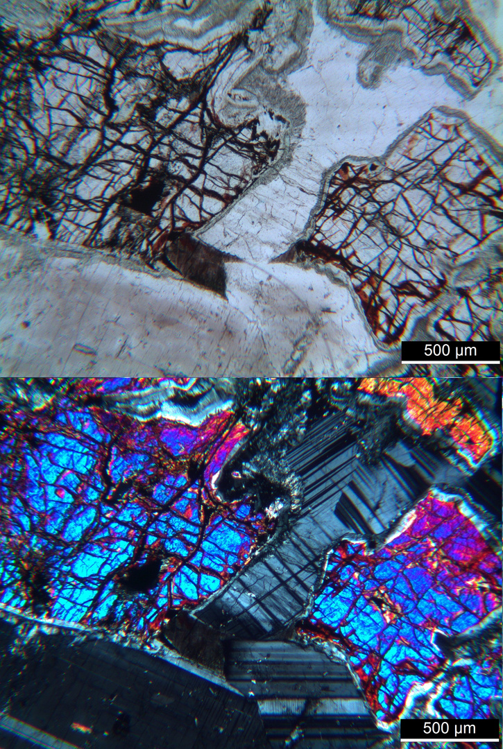 Polarisationsmikroskopie: Olivin-Gabbro aus dem Odenwald