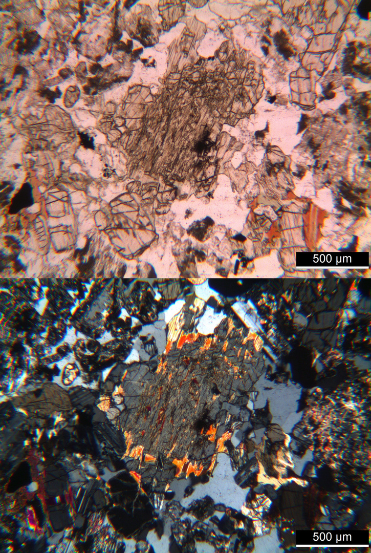 Polarisationsmikroskopie: Olivin-Gabbro aus dem Radautal (Bad Harzburg/Harz)