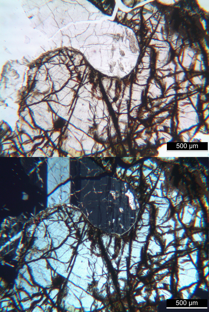 Polarisationsmikroskopie: Olivin-Gabbro von Volpersdorf (heute Wolibórz)